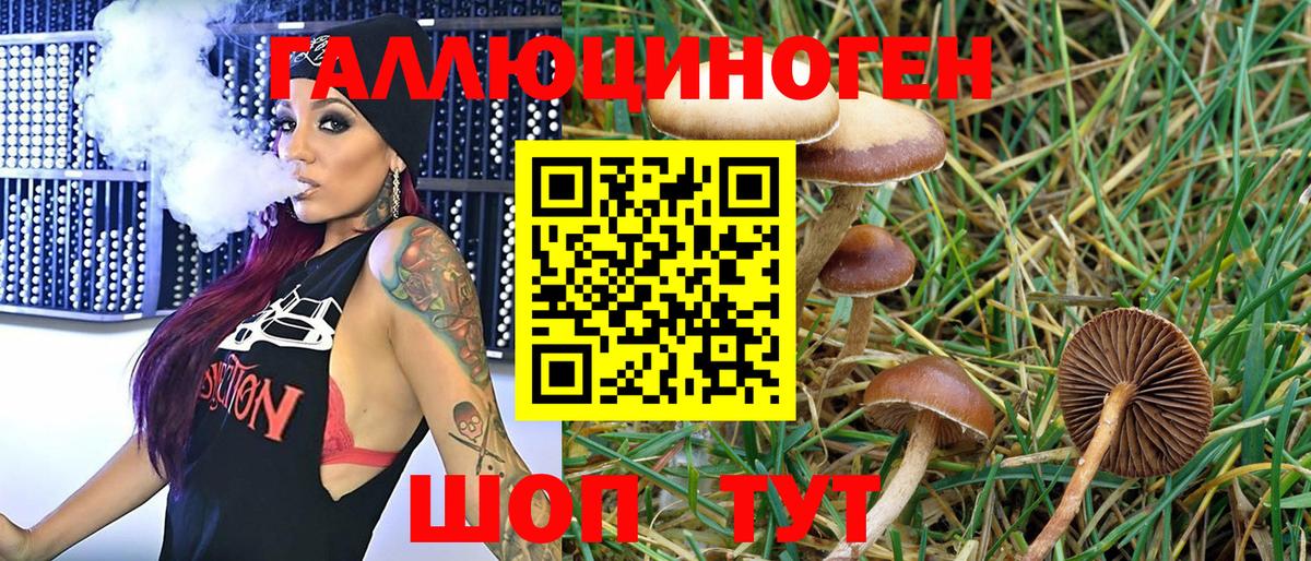 Галлюциногенные грибы Psilocybe  Вход с VPN  Псилоцибиновые грибы мицелий  купить наркотики сайты  Ханты-Мансийск 